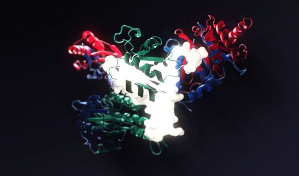 Vidéo de molécule en 3D pour l'Institut des Sciences du Calcul et des Données